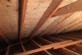 Waterloo Attic Mold Removal