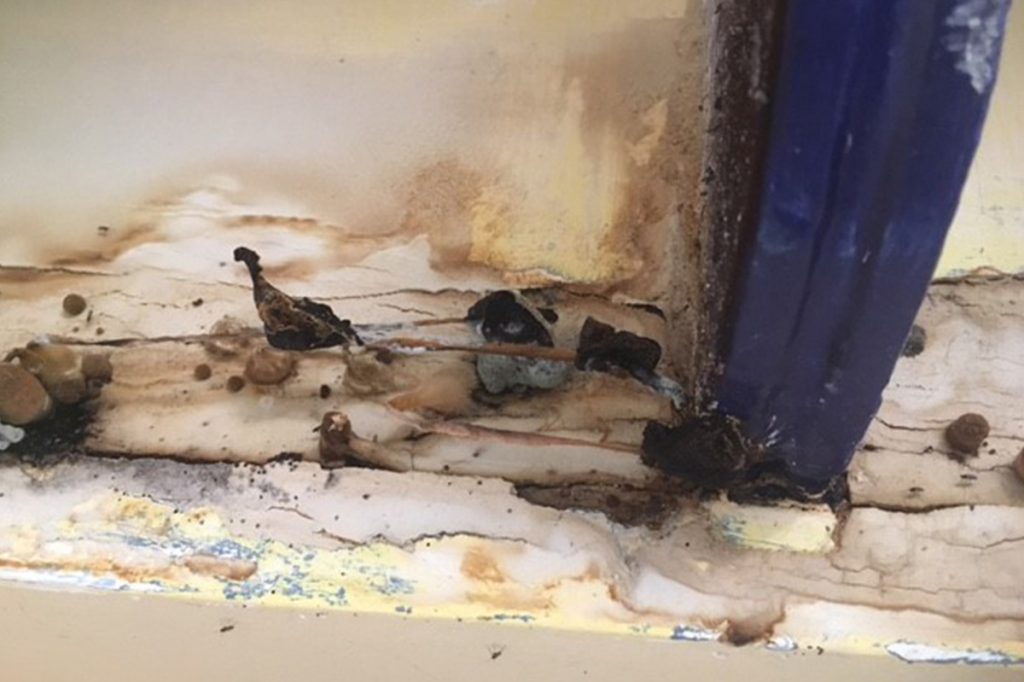 Black Mold Removal Company Mold Inspection Remediation black-mold-removal-company-mold-inspection-remediation