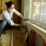 Why DIY Mold Removal In Toronto Is A Bad Idea