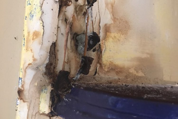 Frequently Asked Mold Removal Toronto Questions