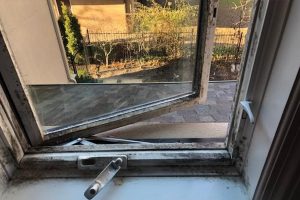 Open Window Covered in Mold