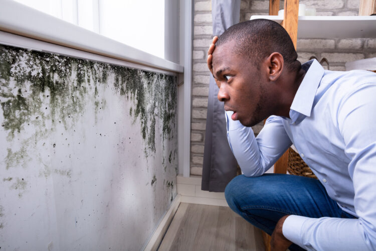 6 Common Signs That You Might Have Mold in Your Home