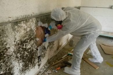 A person in full protective gear cleaning mold from a wall
