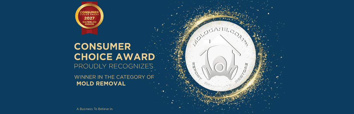 Mold Removal Consumer Choice Award 2027